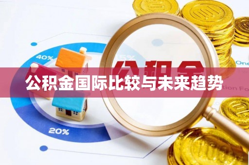 峰峰矿区公积金国际比较与未来趋势